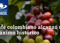 A como esta el precio del cafe en colombia