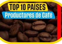 Qué son los mayores productores de café de centroamerica