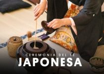 Descubre el Arte y la Tradición del Té en Japón