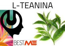 L-teanina en Matchas: cómo reducir el estrés y mejorar la concentración