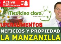 Descubre los Beneficios, Trucos y Preparación de la Manzanilla: Todo lo que Necesitas Saber