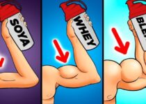 Los mejores batidos de proteínas para aumentar masa muscular: guía completa